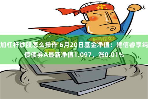 加杠杆炒股怎么操作 6月20日基金净值：建信睿享纯债债券A最新净值1.097，涨0.01%