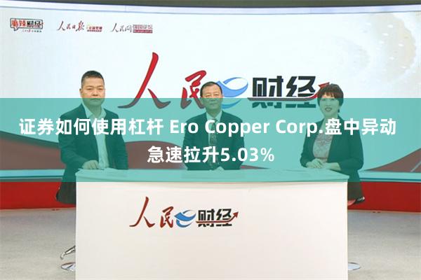 证券如何使用杠杆 Ero Copper Corp.盘中异动 急速拉升5.03%