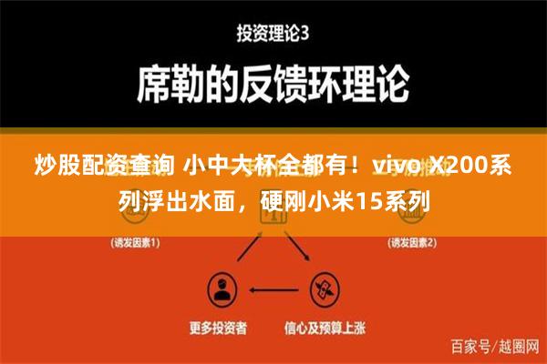 炒股配资查询 小中大杯全都有！vivo X200系列浮出水面，硬刚小米15系列