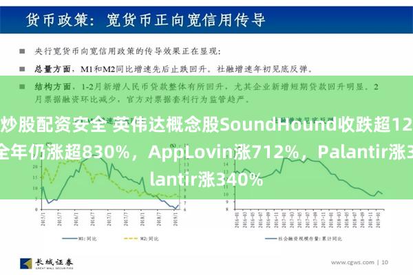 炒股配资安全 英伟达概念股SoundHound收跌超12%，全年仍涨超830%，AppLovin涨712%，Palantir涨340%