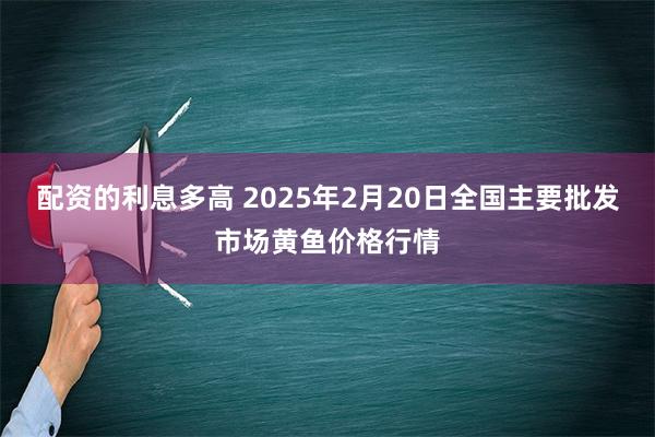 配资的利息多高 2025年2月20日全国主要批发市场黄鱼价格行情